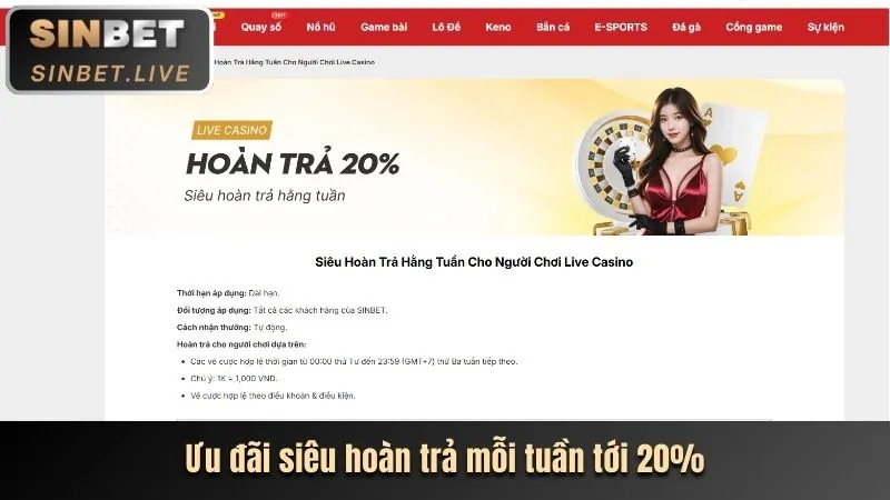 Giao diện cá cược thể thao thân thiện của open88 game